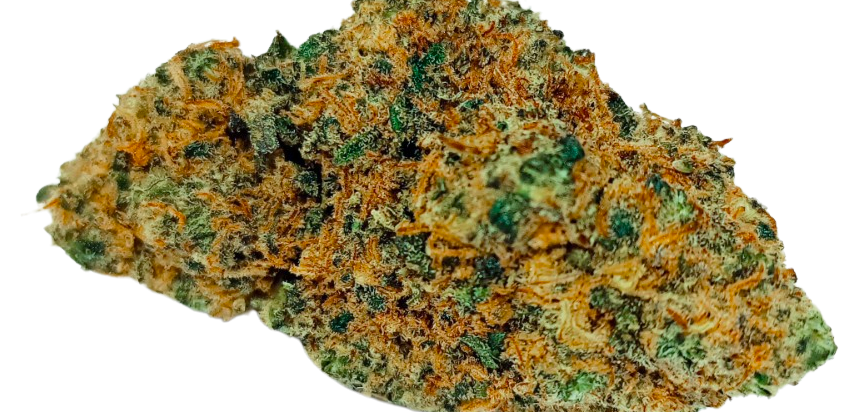 Bud 1