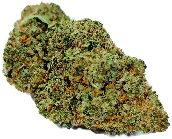 Bud 2