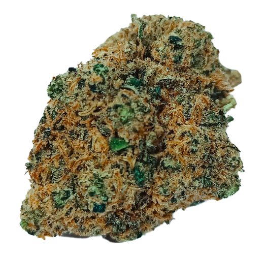 Bud 3