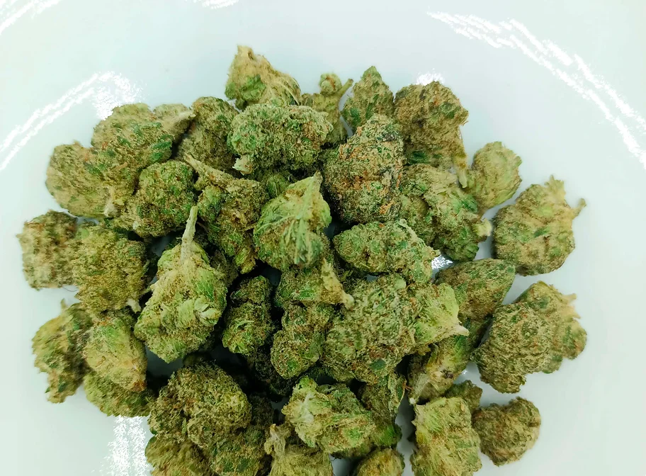 Medium Buds
